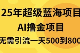（13746期）25年超级蓝海项目一天800 ，半搬砖项目，不需要引流