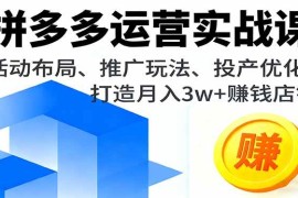 （16135期）拼多多运营实战课，活动布局、推广玩法、投产优化，打造月入3w 赚钱店铺