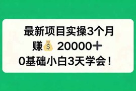 （17856期）最新项目实操3个月，赚钱20000 ，0基础小白3天学会！