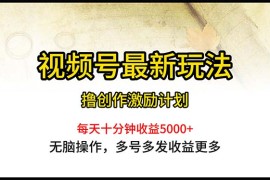 （10591期）视频号最新玩法，每日一小时月入5000 
