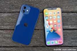5.4英寸iphone12屏幕曝光(苹果12 54寸)