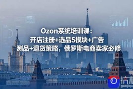 Ozon系统培训课：开店注册 选品5模块 广告测品 退货策略，俄罗斯电商卖家必修