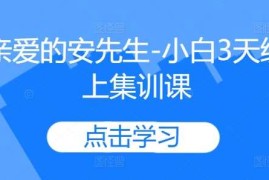 亲爱的安先生-小白3天线上集训课