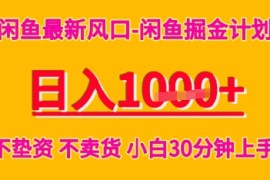 闲鱼最新风口-闲鱼掘金计划，日入多张，不垫资不卖货，小白30分钟上手