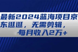 （11041期）最新2024蓝海项目京东逛逛，无需剪辑，每月收入2万 