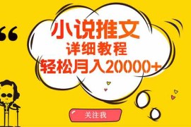 （10000期）简单操作，月入20000 ，详细教程！小说推文项目赚钱秘籍！
