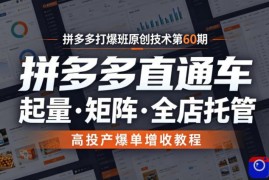 拼多多打爆班原创技术第60期，拼多多直通车，起量・矩阵・全店托管，高投产爆单增收教程