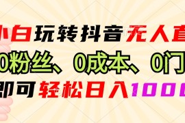（13210期）小白玩转抖音无人直播，0粉丝、0成本、0门槛，轻松日入1000 