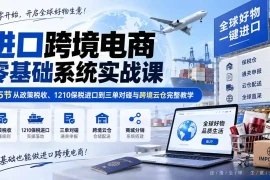 进口跨境电商零基础系统实战课：45节从政策税收、1210保税进口到三单对碰与跨境云仓完整教学