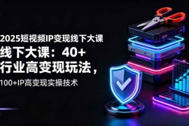 （16282期）2025短视频IP变现线下大课：40 行业高变现玩法，100 IP高变现实操技术