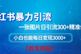 （13935期）小红书暴力引流法，一张图片日引 300 精准创业粉，每日稳定变现 3000 【揭秘】
