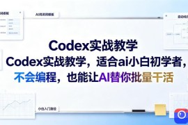 Codex实战教学，适合ai小白初学者，不会编程，也能让AI替你批量干活