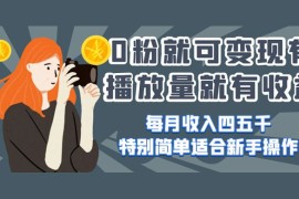 0 粉就可变现，有播放量就有收益，每月收入四五千，特别简单适合新手操作