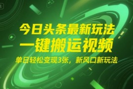 今日头条最新玩法，一键搬运视频，单日轻松变现3张， 新风口新玩法