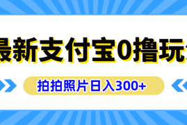 最新支付宝0撸玩法，拍照轻松赚收益，日入300 ，有手机就能做