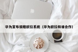 华为宣布捐赠欧拉系统（华为欧拉和谁合作）