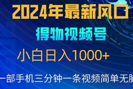 （10548期）2024年5月最新蓝海项目，小白无脑操作，轻松上手，日入1000 