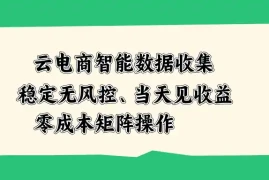 云电商智能数据收集，稳定无风控，当天见收益，零成本矩阵操作