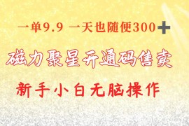 （10519期）快手磁力聚星码信息差 售卖 一单卖9.9 一天也轻松300  新手小白无脑操作