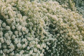 qd手机(qd手机硬格)