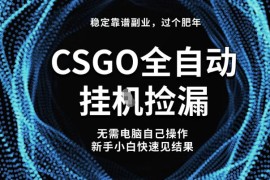 【稳定副业】全球最热门游戏CSGO全自动捡漏，最新玩法，新手小白日入5张 【揭秘】