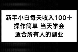 （15937期）新手小白每天收入100 ，操作简单 当天学会 ，适合所有人的副业