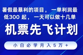 2024最新项目冷门暴利，整个暑假都是高爆发期，一单利润300 ，每天可批量操作十几单