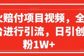 爆火赔付项目视频，全网平台进行引流，日引创业粉1W 【揭秘】