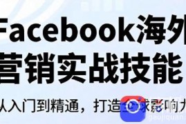 Facebook海外营销实战技能