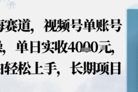 蓝海赛道，视频号单账号实操，单日实收1k，小白轻松上手，长期项目