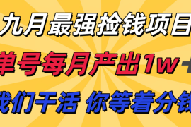 九月最强捡钱项目！ 支付宝分成代运营，我们干活，你分钱！单号月产1w 