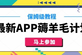 最新APP薅羊毛计划，500播放收益100元，一键原创，保姆级教程