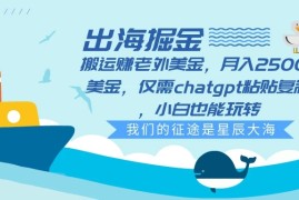 出海掘金搬运赚老外美金，月入2500 美金，仅需chatgpt粘贴复制，小白也能玩转