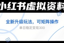 小红书虚拟资料全新升级玩法，可矩阵操作，单日稳定变现3张