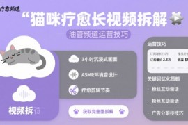 猫咪疗愈长视频拆解 