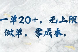 （10455期）一单20 ，无上限做单，零成本，执行就有收入