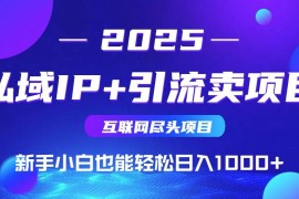 （15531期）2025网创尽头项目，私域IP 引流，新手小白也能在家日入1000 
