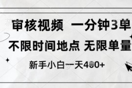 审核视频，10秒一单，不限时间，不限单量，新人小白一天4张 【揭秘】