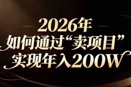 站在2026年的十字路口：一个普通人如何通过卖项目实现年入200万