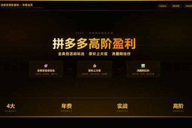 拼多多高阶盈利年费会员(更新3月31