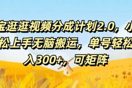 淘宝逛逛视频分成计划2.0，小白轻松上手无脑搬运，单号轻松日入300 ，可矩阵