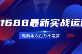 （11857期）1688最新实战运营 0基础学会1688实战运营，电商年入百万不是梦-131节