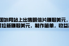在国外网站上出售明信片赚取美元，也可拉新赚取美元，制作简单，收益高