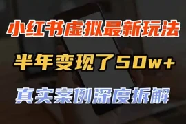 小红书虚拟资料最新玩法，半年变现了50w ，真实案例深度拆解，可复制可批量