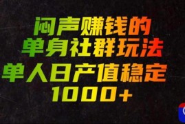 闷声賺钱的单身社群玩法，单人日产值稳定1000 【揭秘】