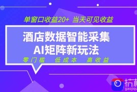 2026酒店数据采集ai智能矩阵新风口 低成本 高收益 当天见收益 单窗口20 
