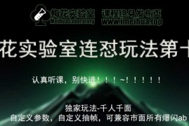 梅花实验室社群专享课视频号连怼玩法第十期课程 第二部分-FF助手全新高自由万能爆闪AB处理