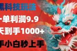（12793期）黑科技玩法，一单利润9.9,一天到手1000 ，新手小白秒上手