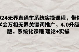 2024无界直通车系统实操课程，带你学会万相无界关键词推广，4.0升级版，系统化课程 理论 实操