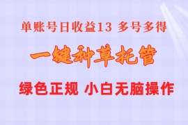 （10776期）一键种草托管 单账号日收益13元 10个账号一天130 绿色稳定 可无限推广
